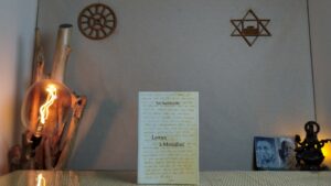 Lettres à Mrinâlinî - Sri Aurobindo