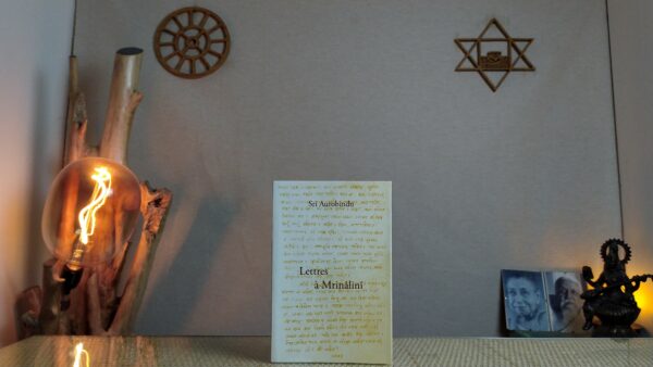 Lettres à Mrinâlinî - Sri Aurobindo