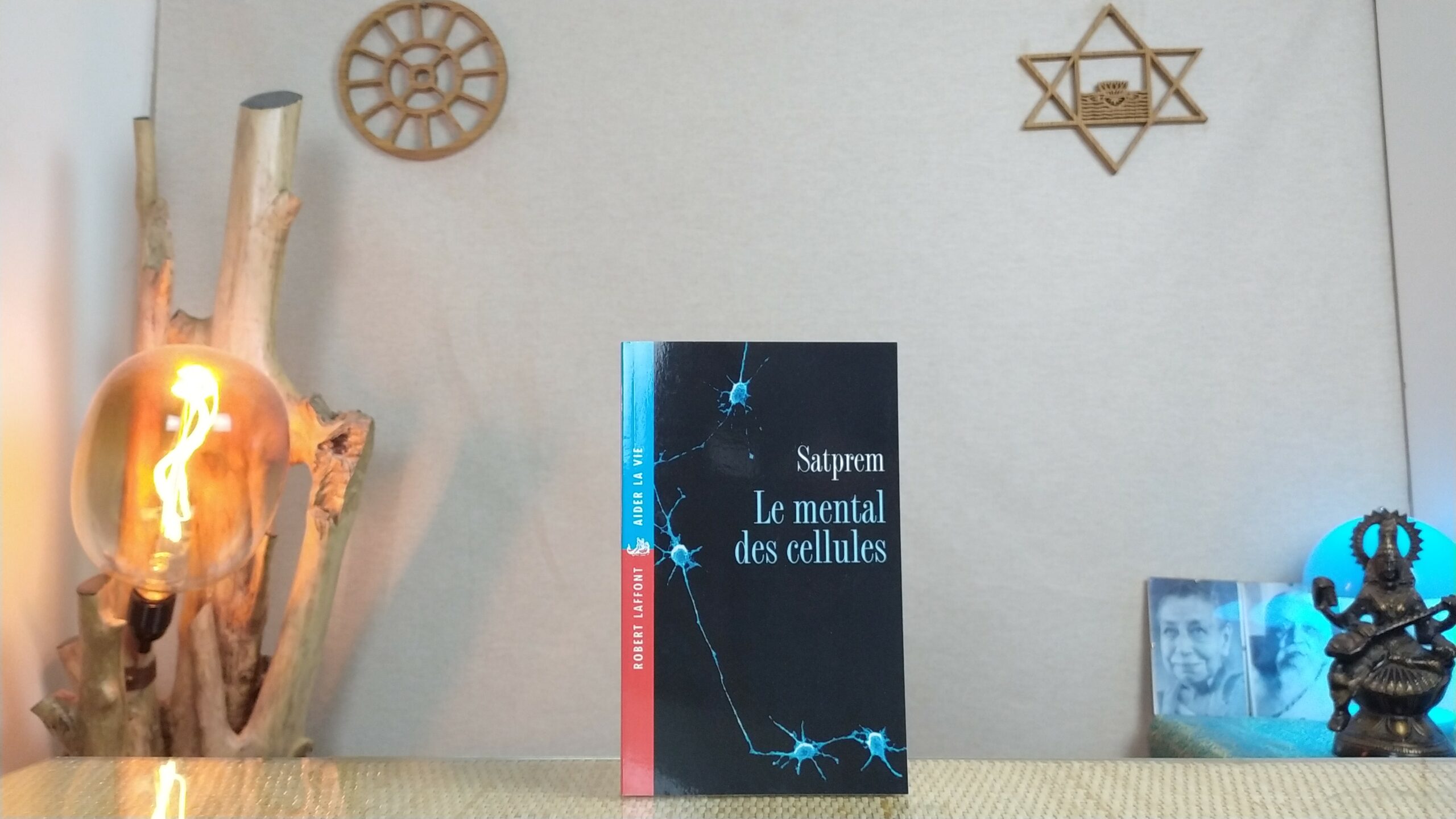 Le Mental de Cellules - Satprem