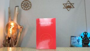 L'Agenda de Mère - Tome 2 - 1961