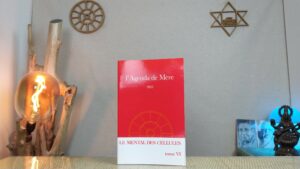 L'Agenda de Mère - Tome 6 - 1965