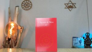 L'Agenda de Mère - Tome 12 - 1971
